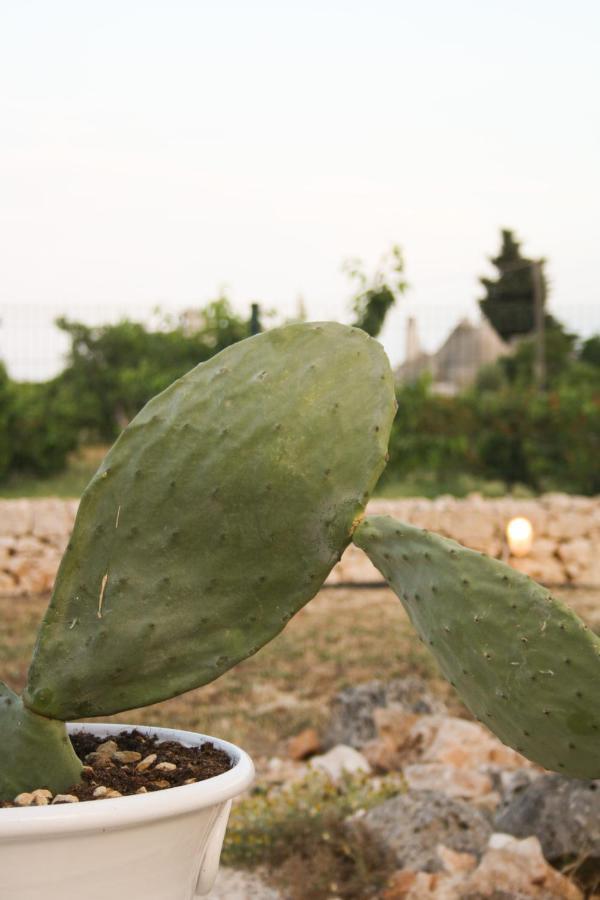 Enjoytrulli - Countryside Villa Noci Luaran gambar