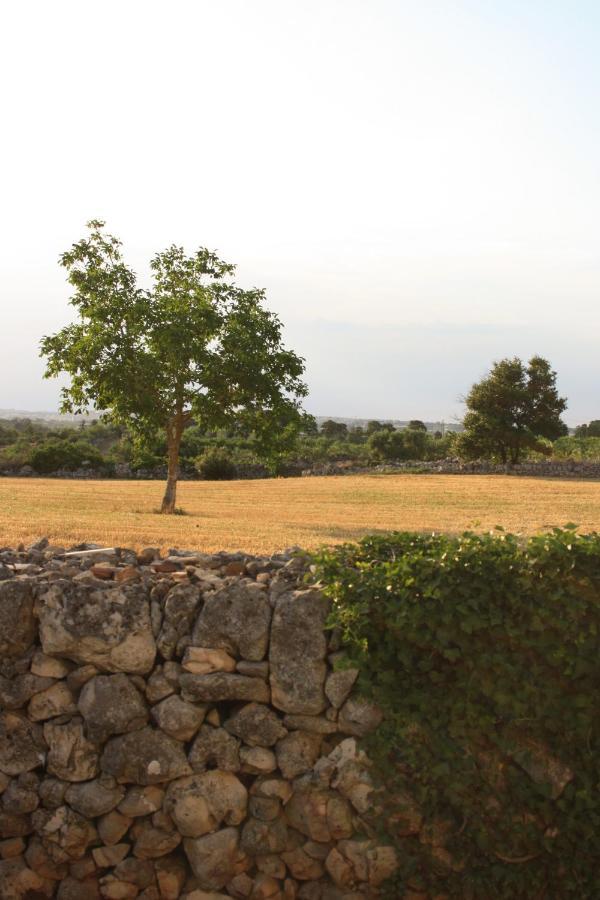 Enjoytrulli - Countryside Villa Noci Luaran gambar