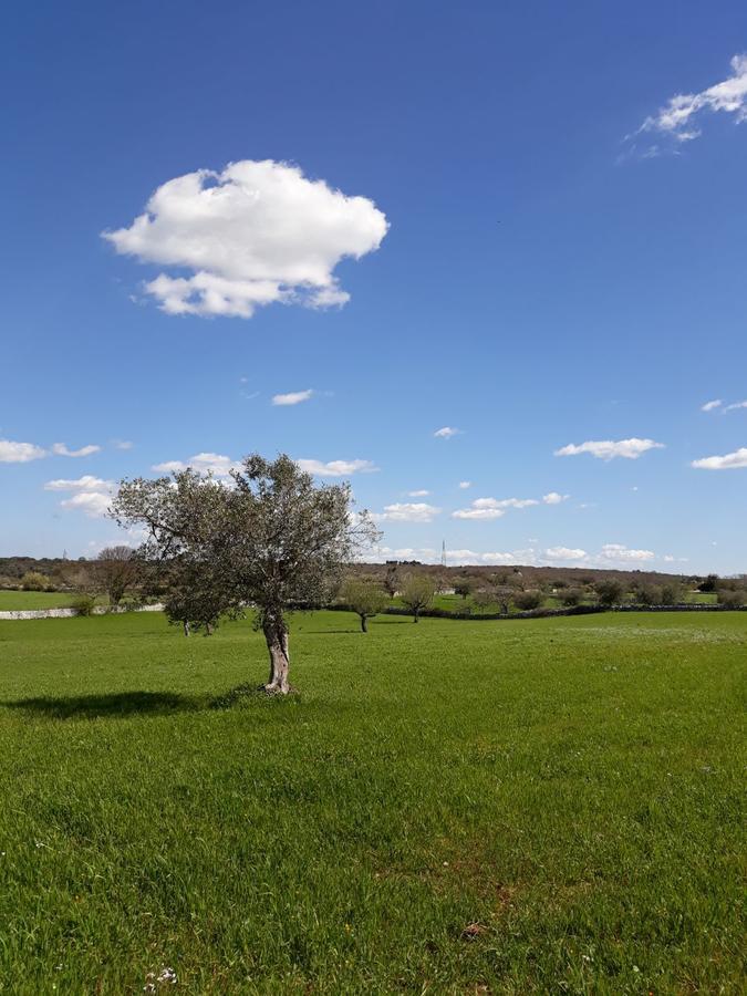 Enjoytrulli - Countryside Villa Noci Luaran gambar